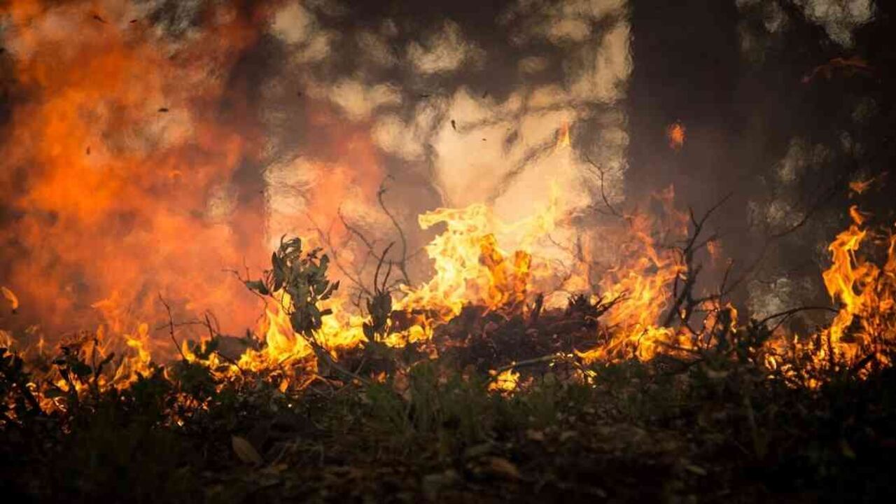La voladura del Oleoducto Transandino, en el municipio de Orito, generó un incendio forestal de gran proporción. Esta estructura tiene una longitud de 306 kilómetros y cuenta con una capacidad para transportar a diario unos 85.000 barriles de crudo hasta el puerto de Tumaco. Foto ilustración: Pixabay.