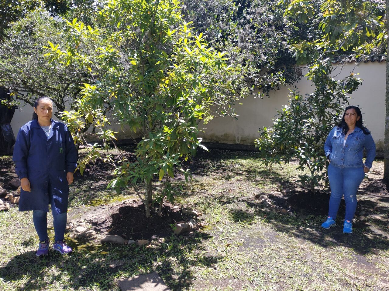 Las hermanas Robles que reforestan Villa de Leyva con el árbol de su apellido.