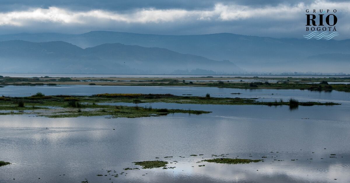 A principios del siglo XX, este cuerpo lagunar tenía 12.000 hectáreas de espejo de agua, hoy quedan poco más de 3.000. Foto: CAR