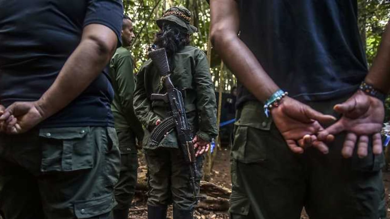 Cerca de 1.400 guerrilleros se esconden en Venezuela, revela comandante de FF.MM.