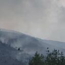 El área afectada es una reserva forestal.