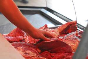 Bloque de carne, imagen de referencia.