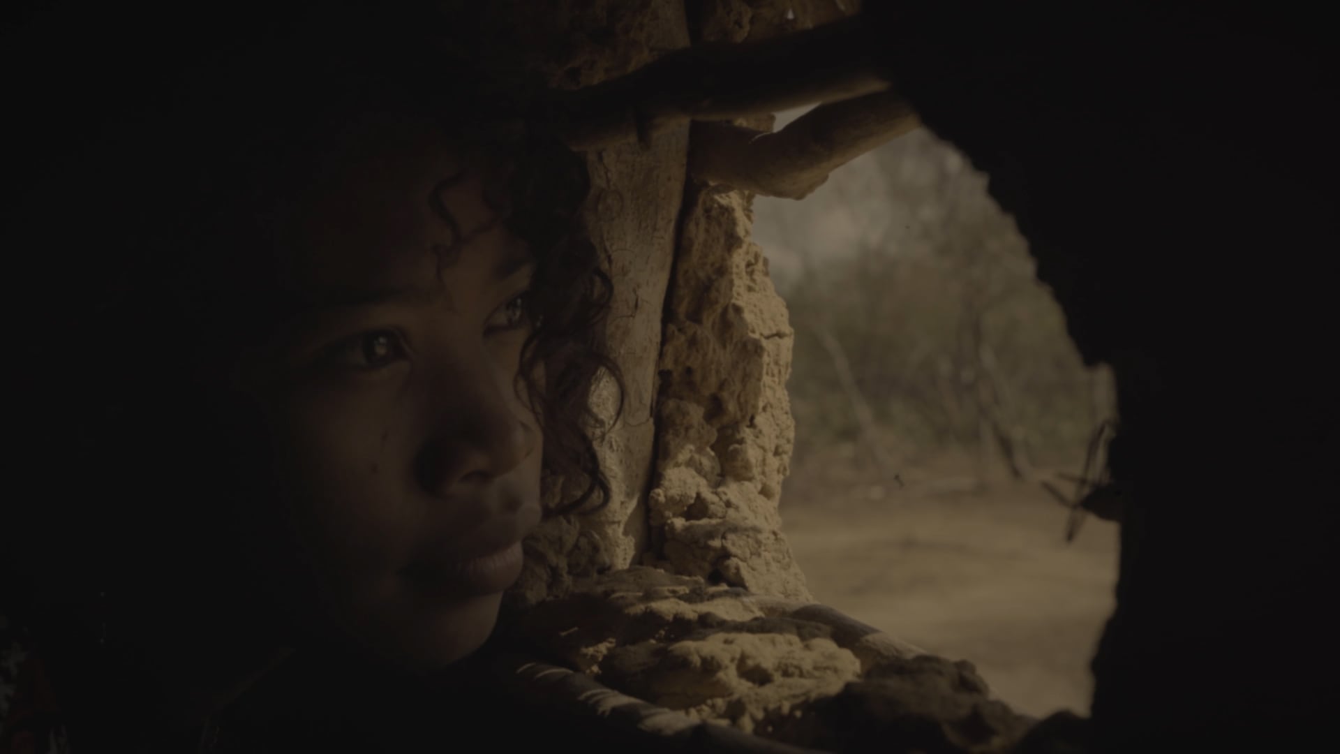 'Jikiru'u Ko'ooikaa - La memoria de la avispa'