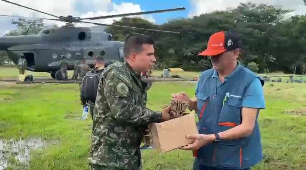 Tigrillo rescatado en Vichada.