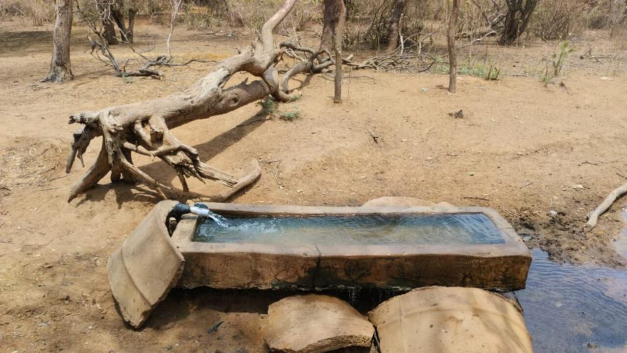 En La Guajira, a lo largo de una zona desértica, escasea el agua y es difícil la producción de alimentos por la aridez y las altas temperaturas.