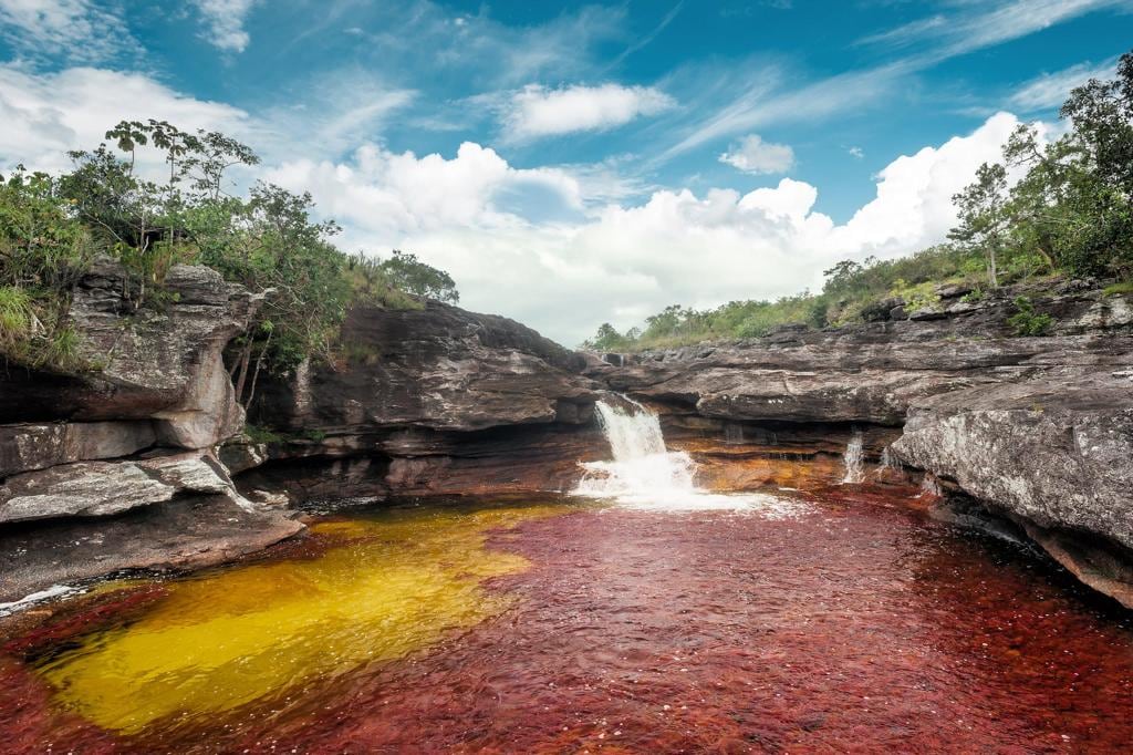 Caño Cristales está ubicado en el municipio de La Macarena.