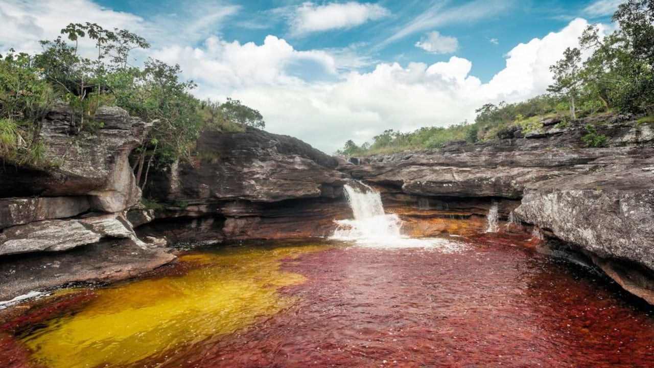Caño Cristales está ubicado en el municipio de La Macarena, en el Meta.