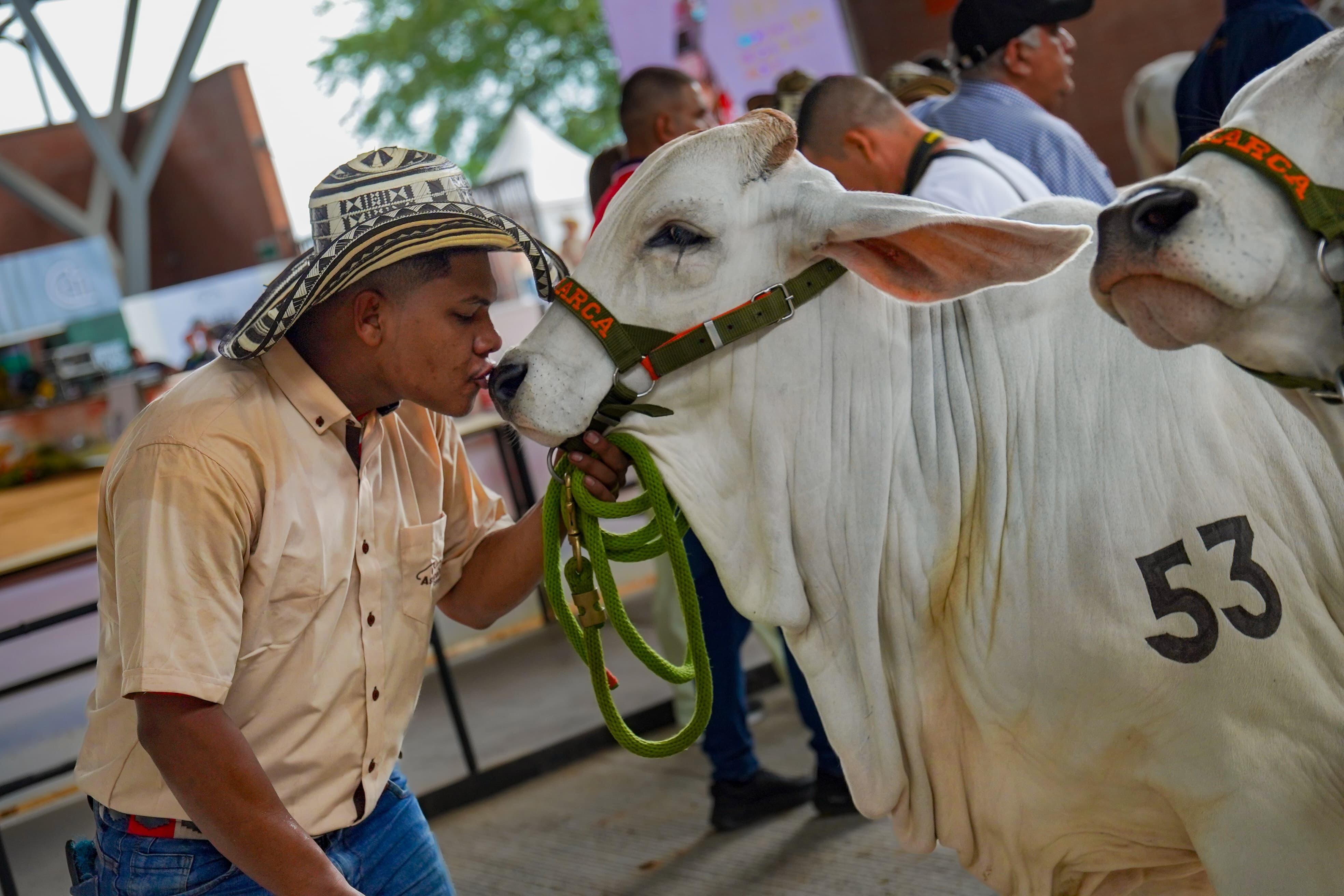 Contenido Comercial Gobernación del Meta - NO USAR
