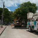 La empresa hará trabajos en varios sectores