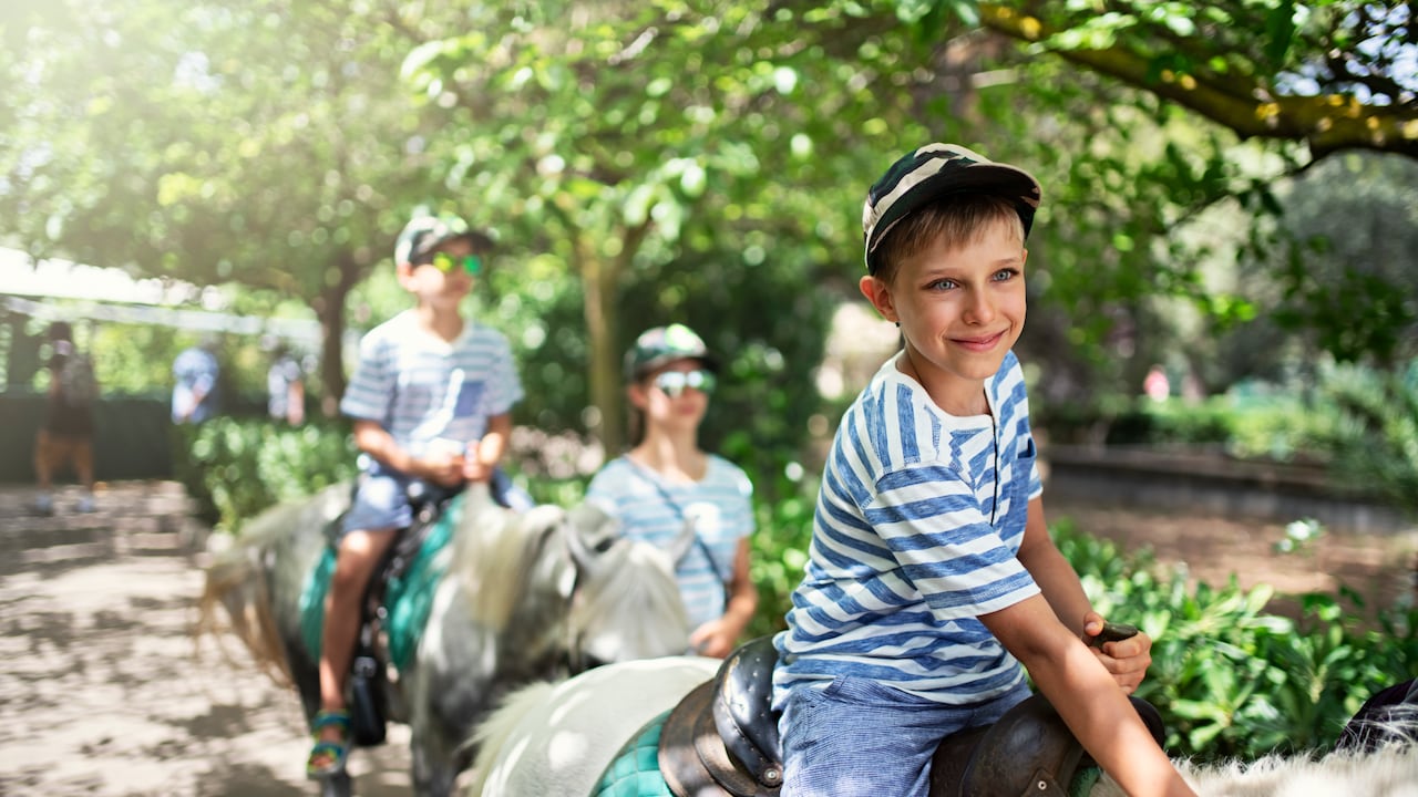 La hipoterapia ayuda a reducir el estrés, mejora el estado de ánimo, amplía la coordinación e incrementa la concentración.