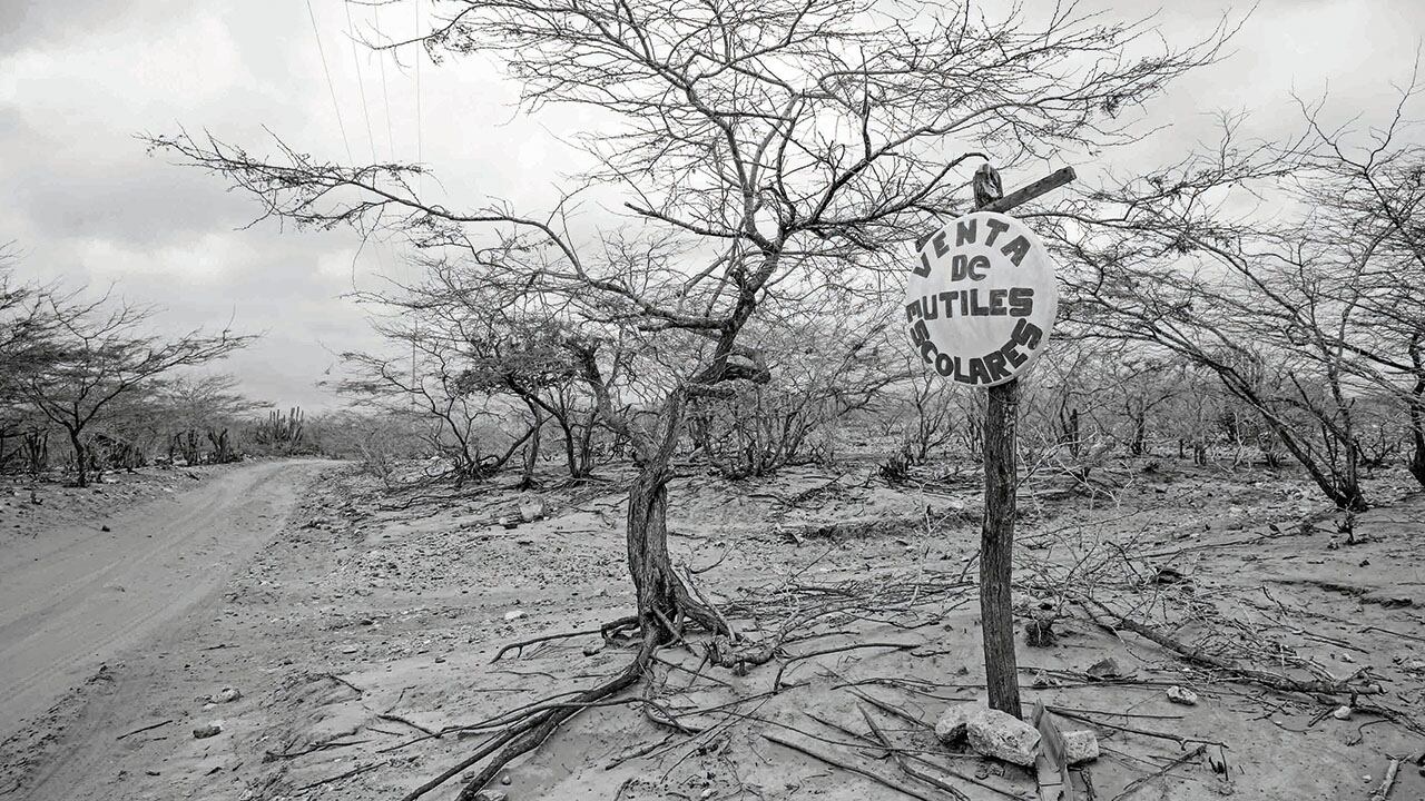 Bosque seco en la serranía de la Macuira, Alta Guajira, 2016
