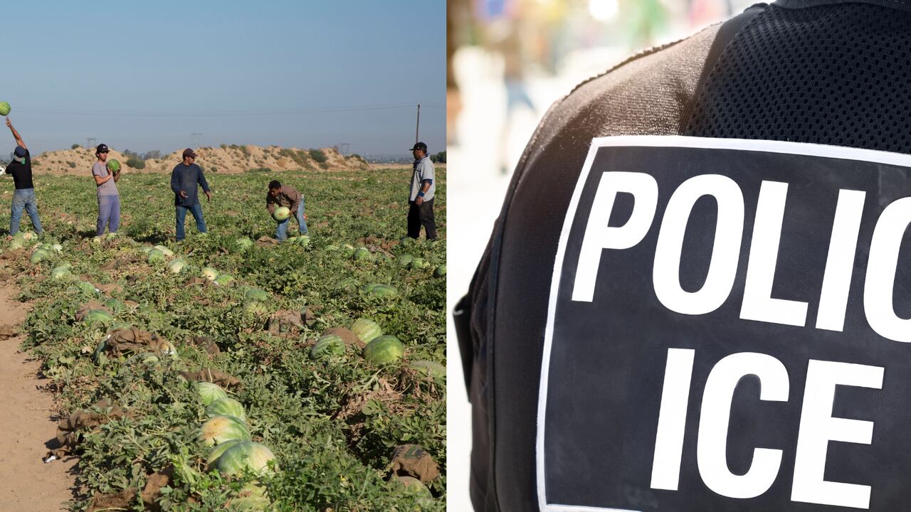 Trabajadores agrícolas inmigrantes denuncian aumento de redadas de ICE
