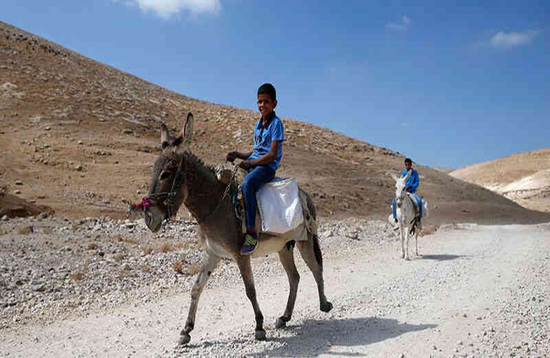 Algunas áreas en Israel están en disputas para ser ocupadas por comunidades palestinas en Bedouin. El territorio palestino ha sido ocupado desde 1967 y ahora temen que con una nueva ocupación se pueda infringir alguna ley internacional.