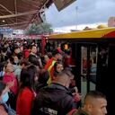 Movilidad Salvaje