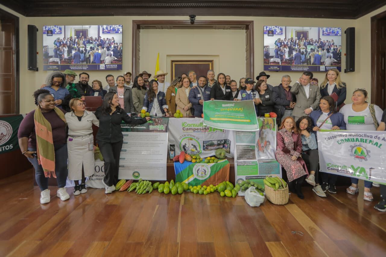 La Consulta Campesina sigue un camino de recolección de firmas y validación ante la Registraduría.