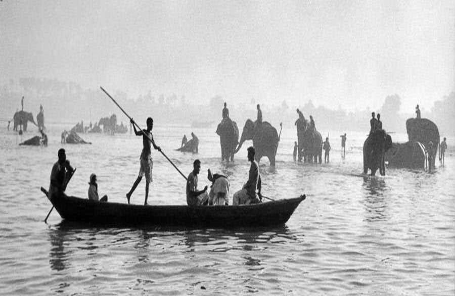 India, 1956. El baño de los elefantes en el Ganges. Foto: Marc Riboud (Tomado de la página web del artista)