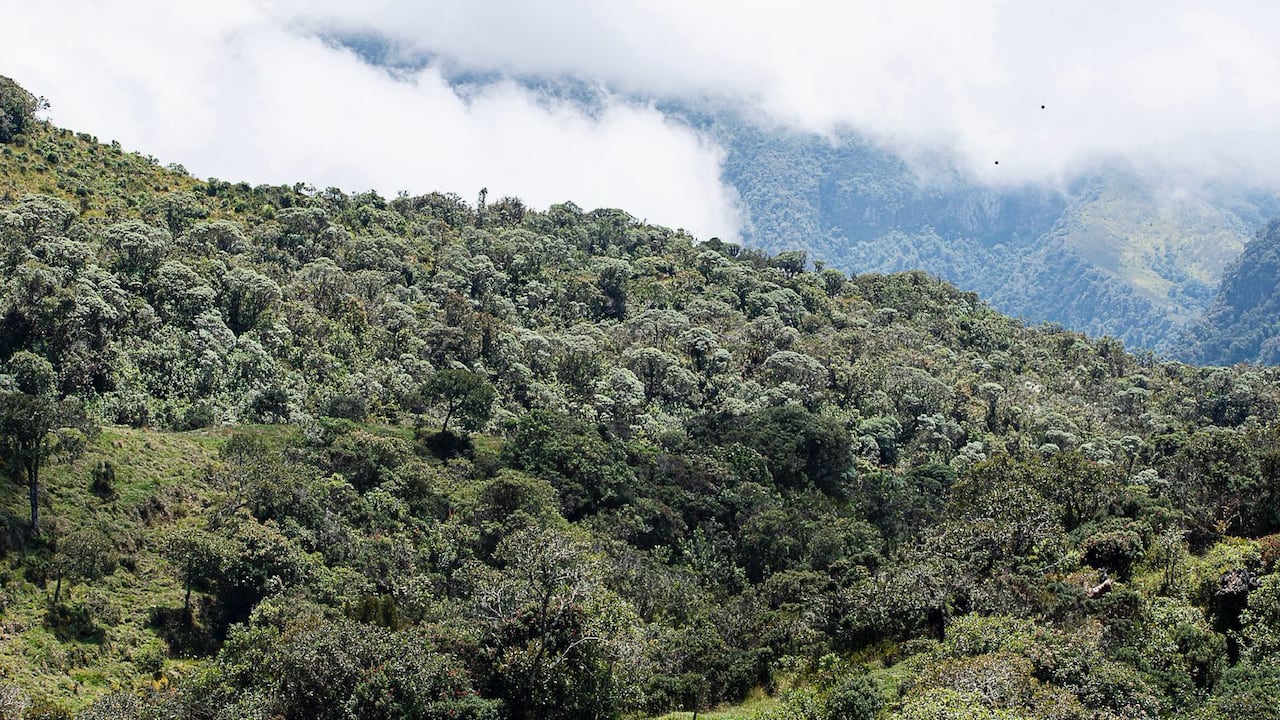 La nueva área busca fortalecer la seguridad hídrica y conectar ecosistemas estratégicos de alta montaña.