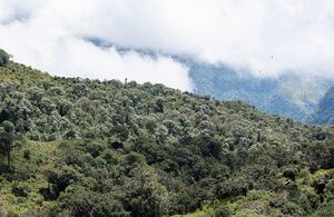 La nueva área busca fortalecer la seguridad hídrica y conectar ecosistemas estratégicos de alta montaña.
