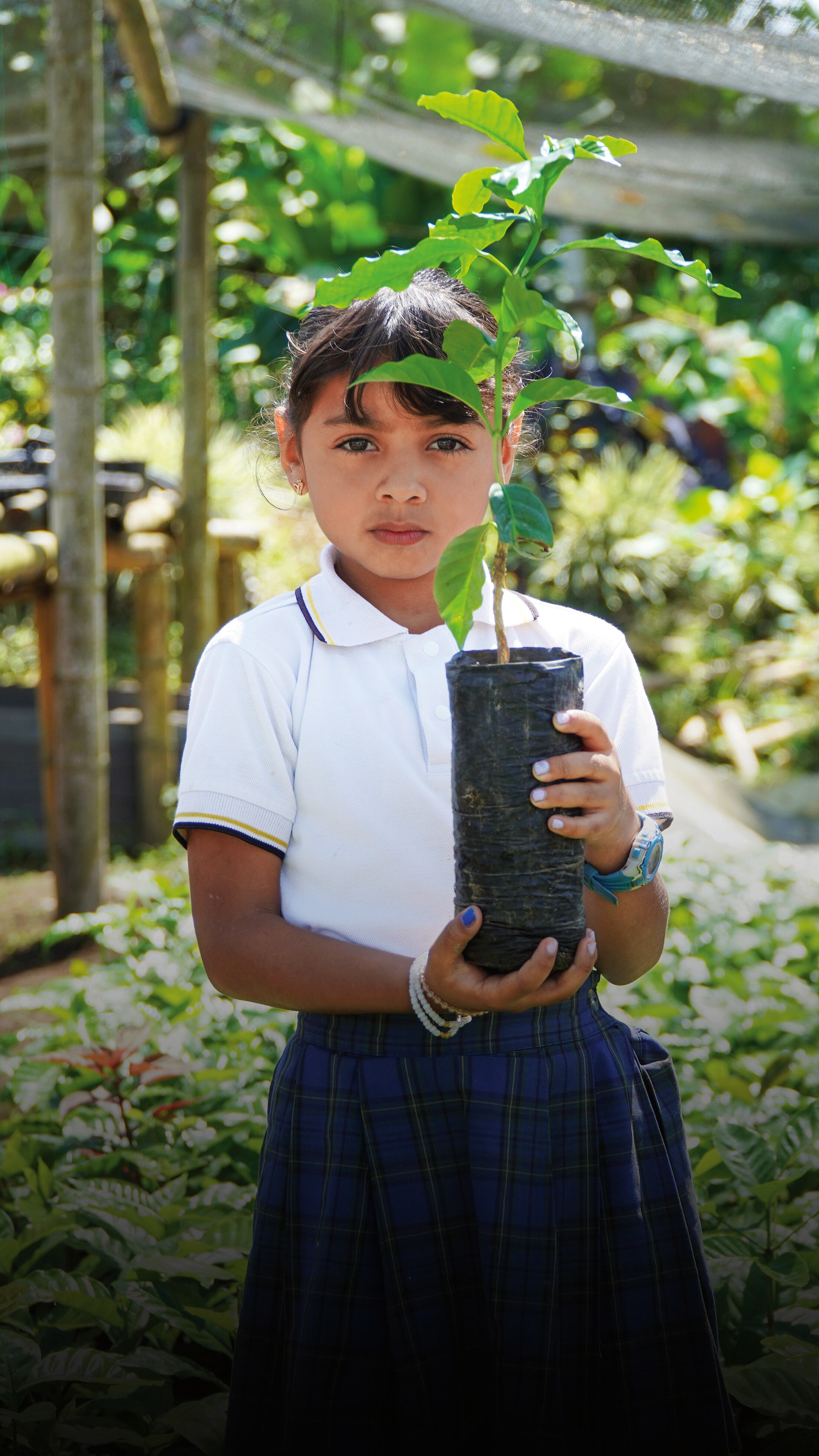 El Comité de Cafeteros de Caldas tomó la iniciativa de transformar la educación rural con el modelo Escuela Nueva.