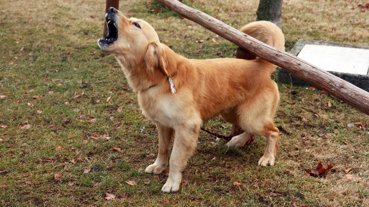 La ley pretende reducir el ruido que molesta a algunos residentes.