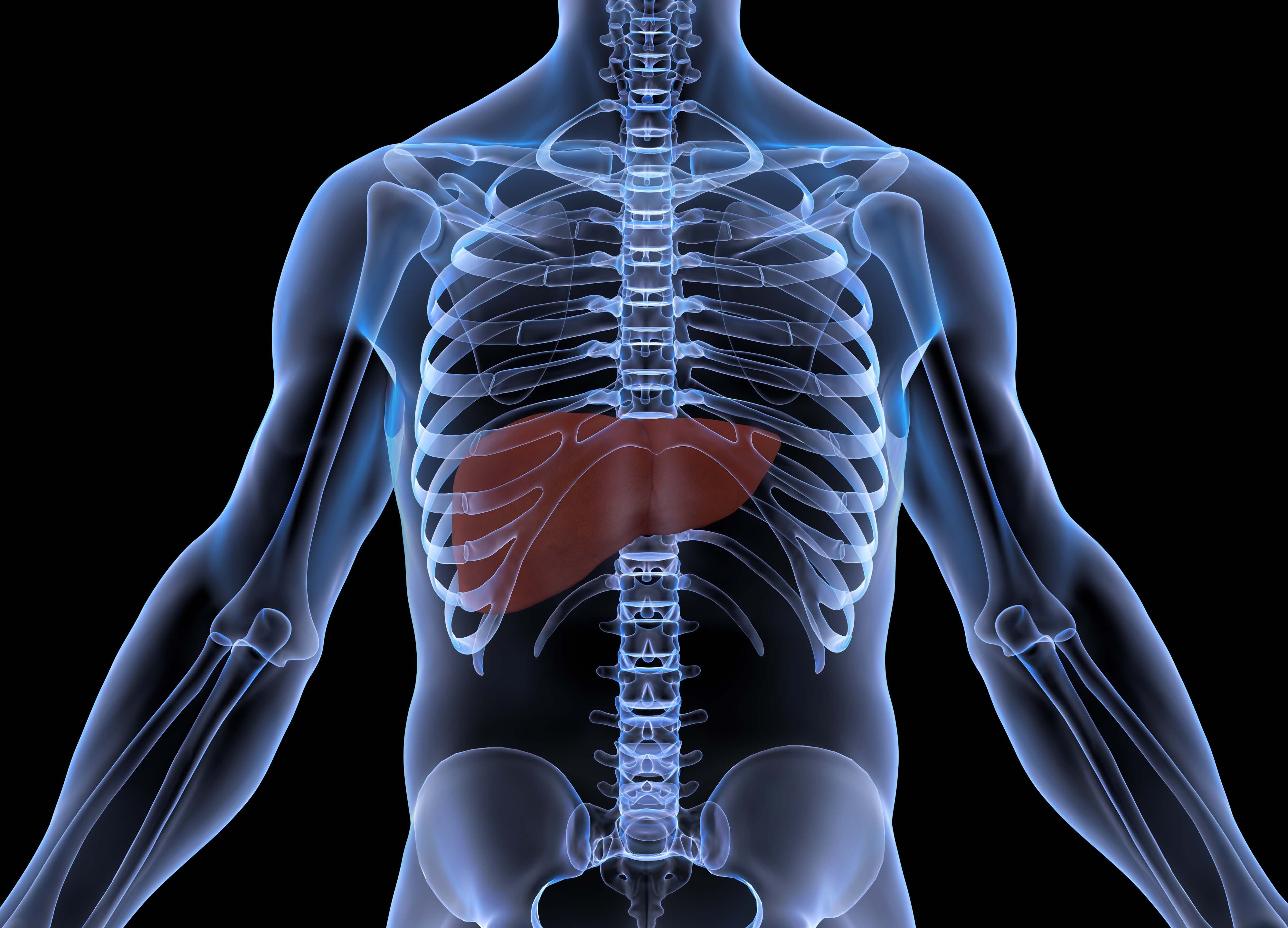 El consumo excesivo de alcohol puede ser perjudicial para el hígado.