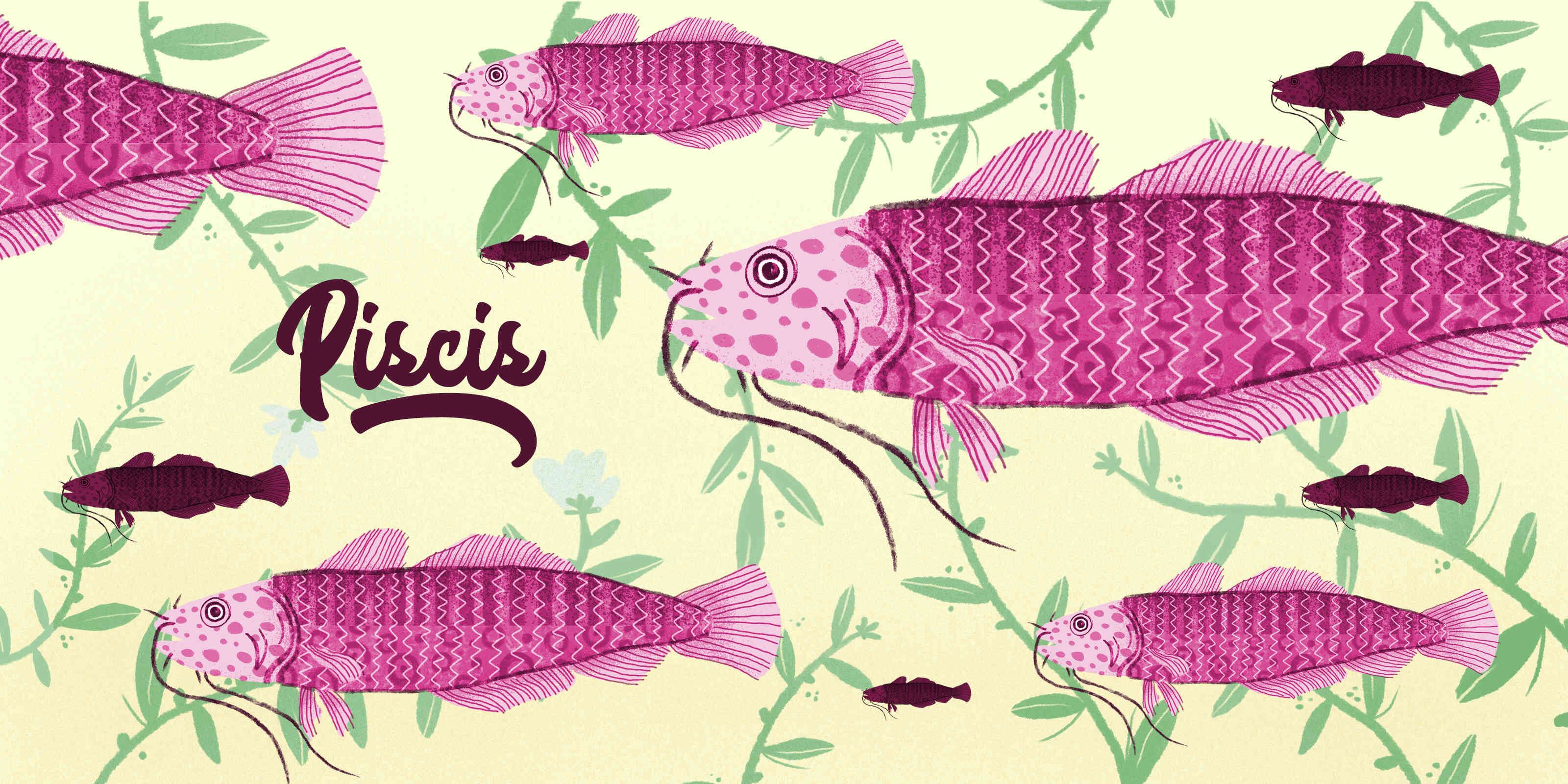 El signo Piscis ilustrado por Nicolás Gutiérrez Pinedo.