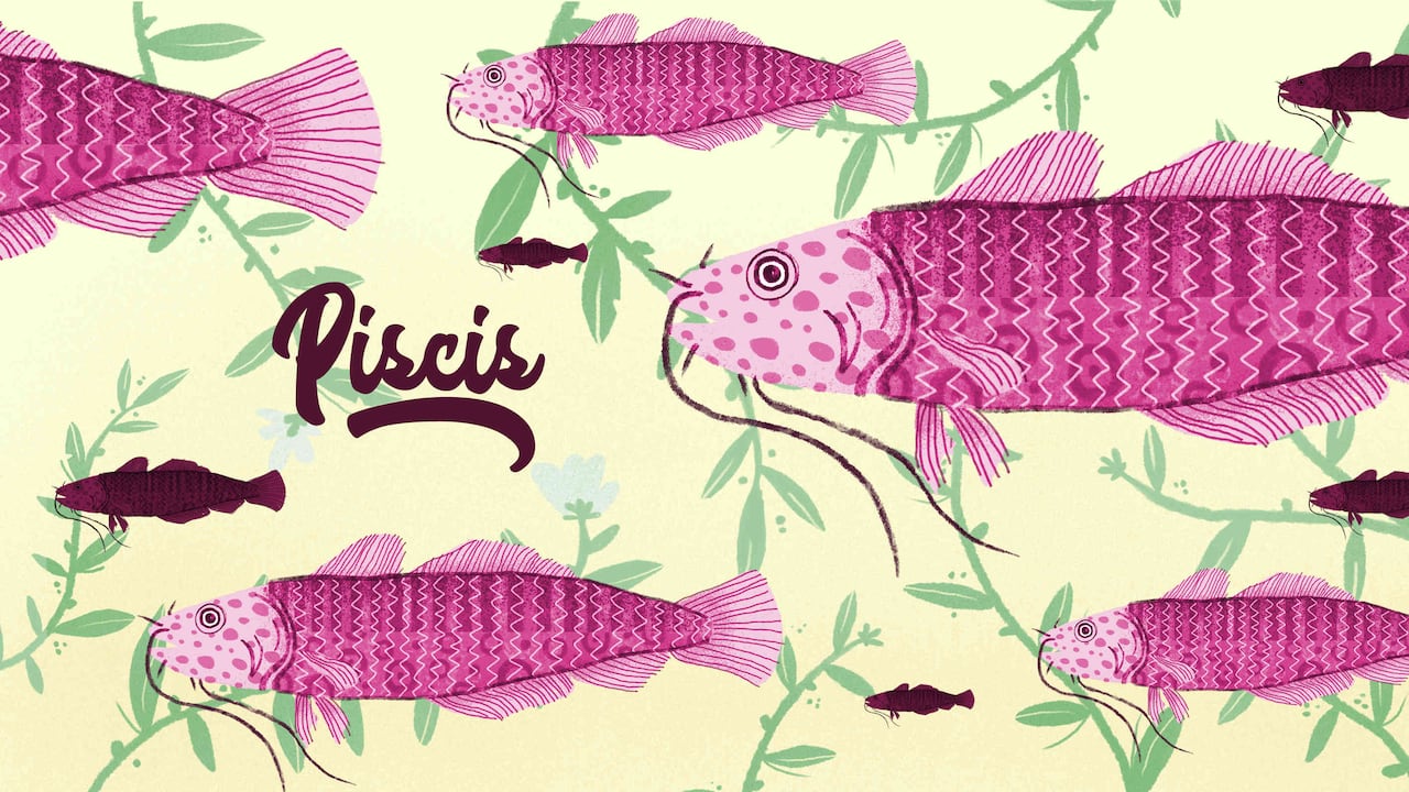 El signo Piscis ilustrado por Nicolás Gutiérrez Pinedo.