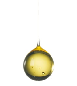 Los esfuerzos de Alianza Team por alimentar un mejor mañana.