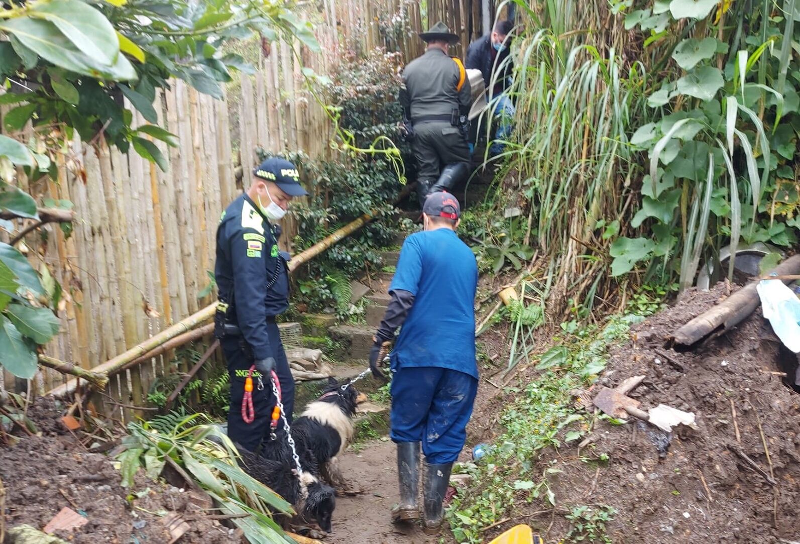 Los animales fueron retirados del sitio y quedaron bajo la protección del Grupo de Atención y Rescate Animal, (GARA)