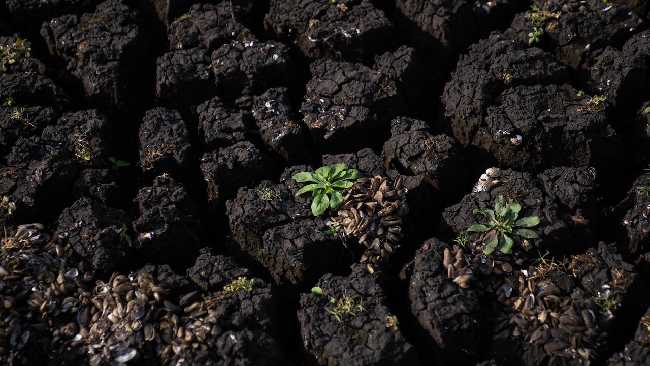 Una uruguaya cuenta que desde que empezó la crisis, compra unos 40 litros de agua mineral por semana a un costo de unos 16 dólares, cerca de 66.000 pesos colombianos.