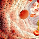 Los niveles elevados de colesterol pueden ocasionar problamas cardiovasculares.