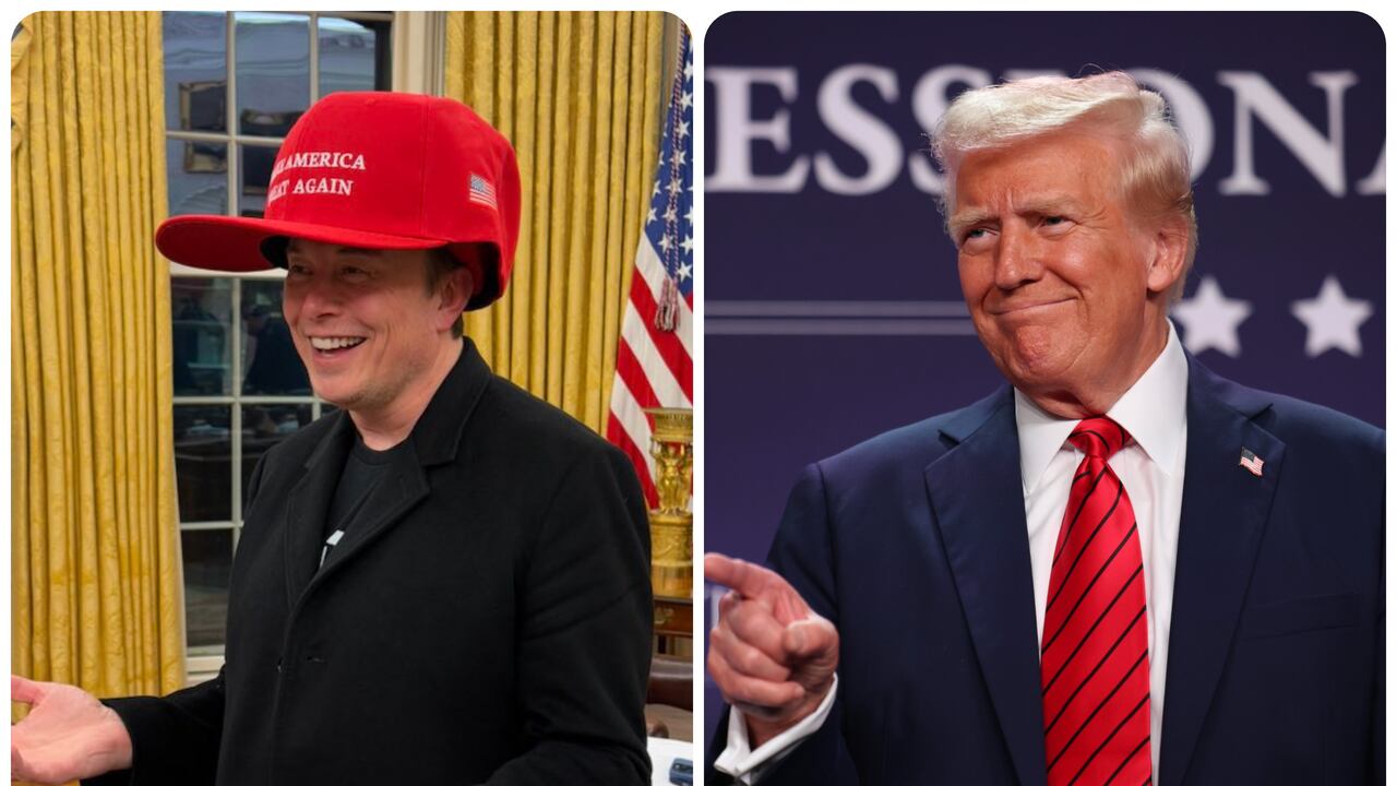 Elon Musk y Donald Trump.