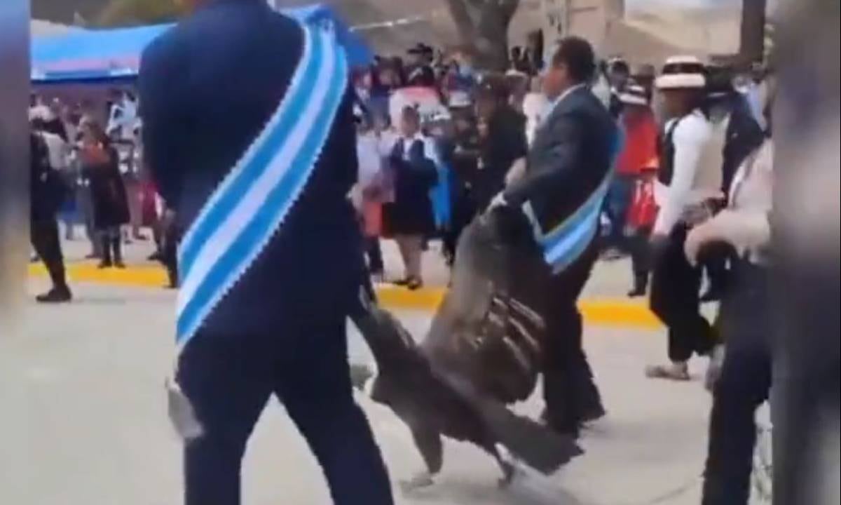 En Colombia la mayoría de los casos de cóndores que fueron envenenados o recibieron disparos en años recientes ocurrieron en Santander