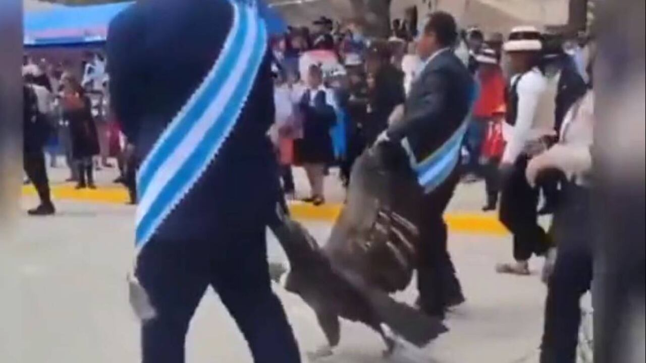 En Colombia la mayoría de los casos de cóndores que fueron envenenados o recibieron disparos en años recientes ocurrieron en Santander