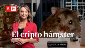 MONICA CRIPTO HÁMSTER
