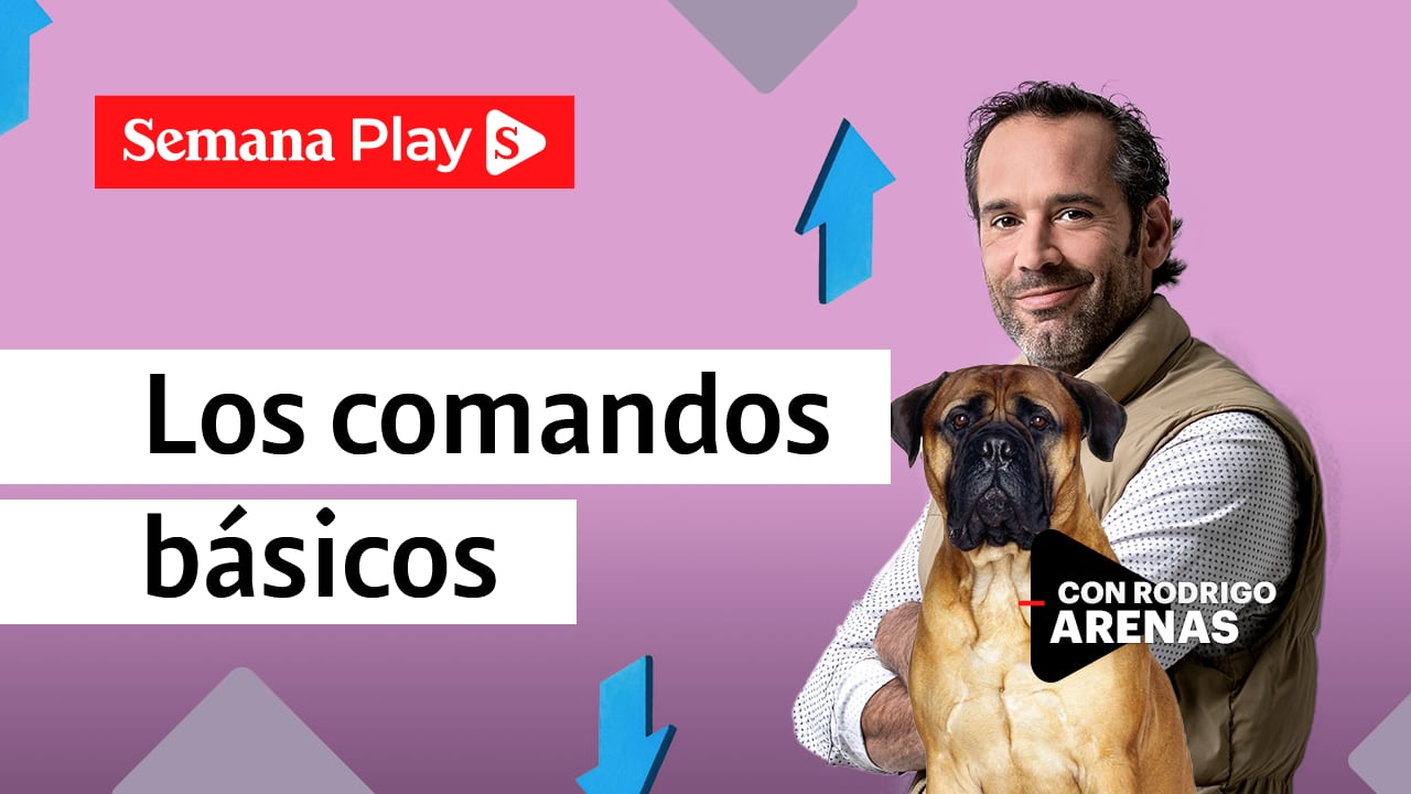 Los comando básicos de entrenamiento |Rodrigo Arenas en EduCANdo Manadas