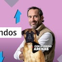 Los comando básicos de entrenamiento |Rodrigo Arenas en EduCANdo Manadas