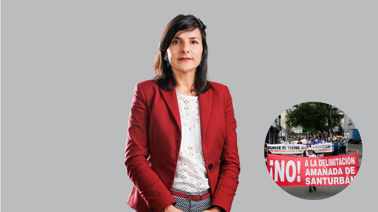 Ministra de ambiente, Irene Vélez.