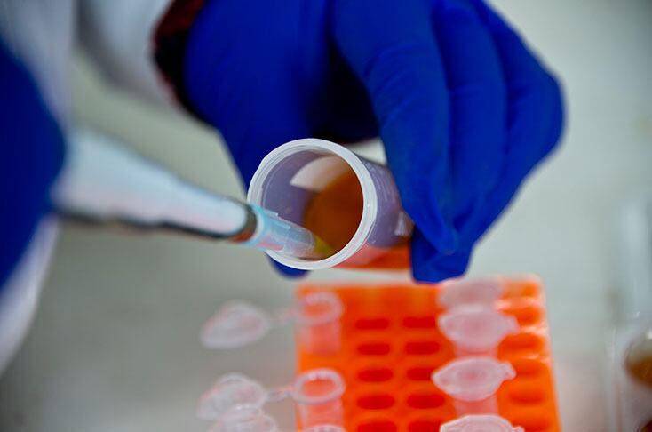 En la lista se pone de relieve especialmente la amenaza que suponen las bacterias gramnegativas resistentes a múltiples antibióticos.