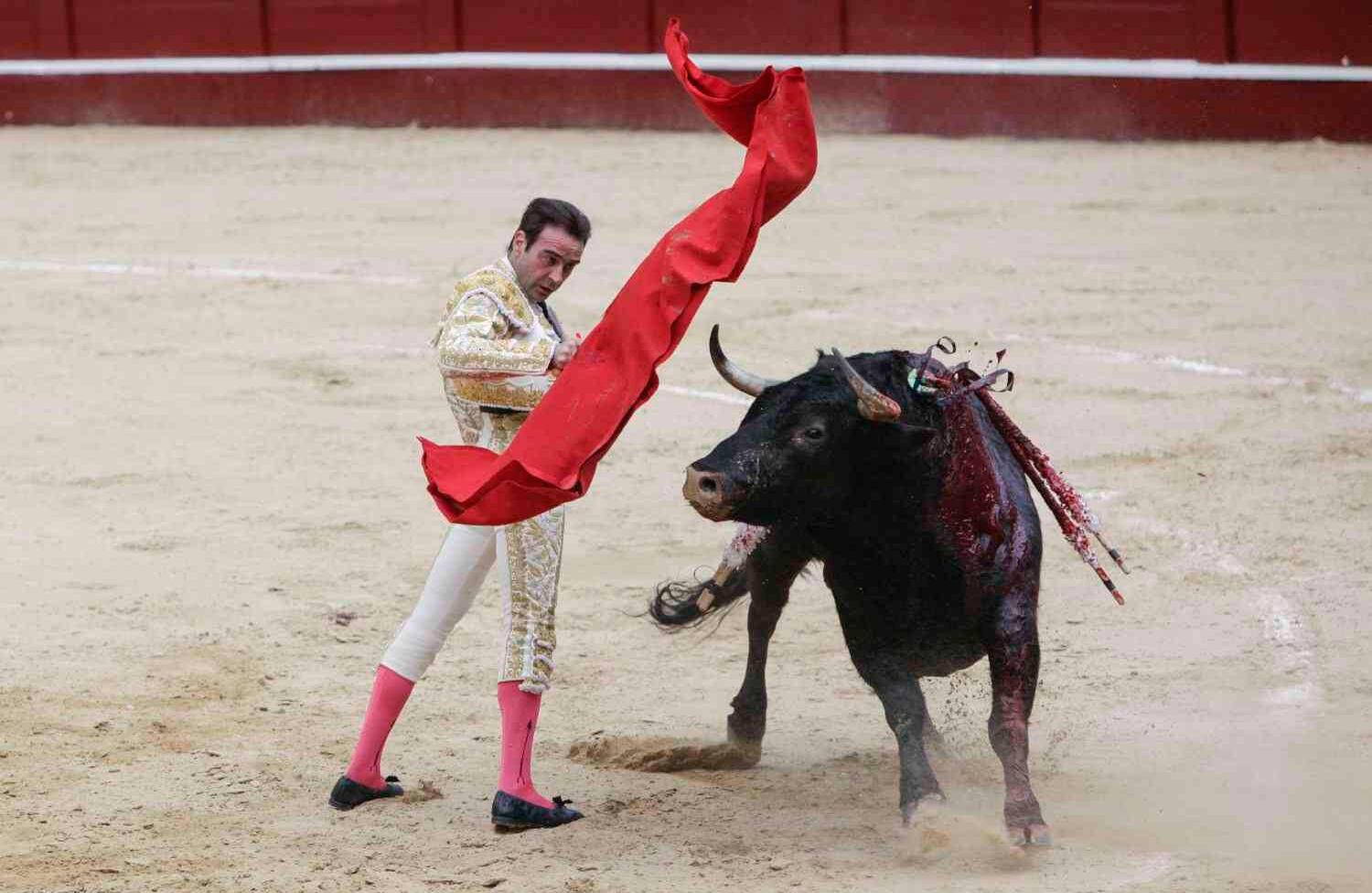 Foto: Diana Rey Melo