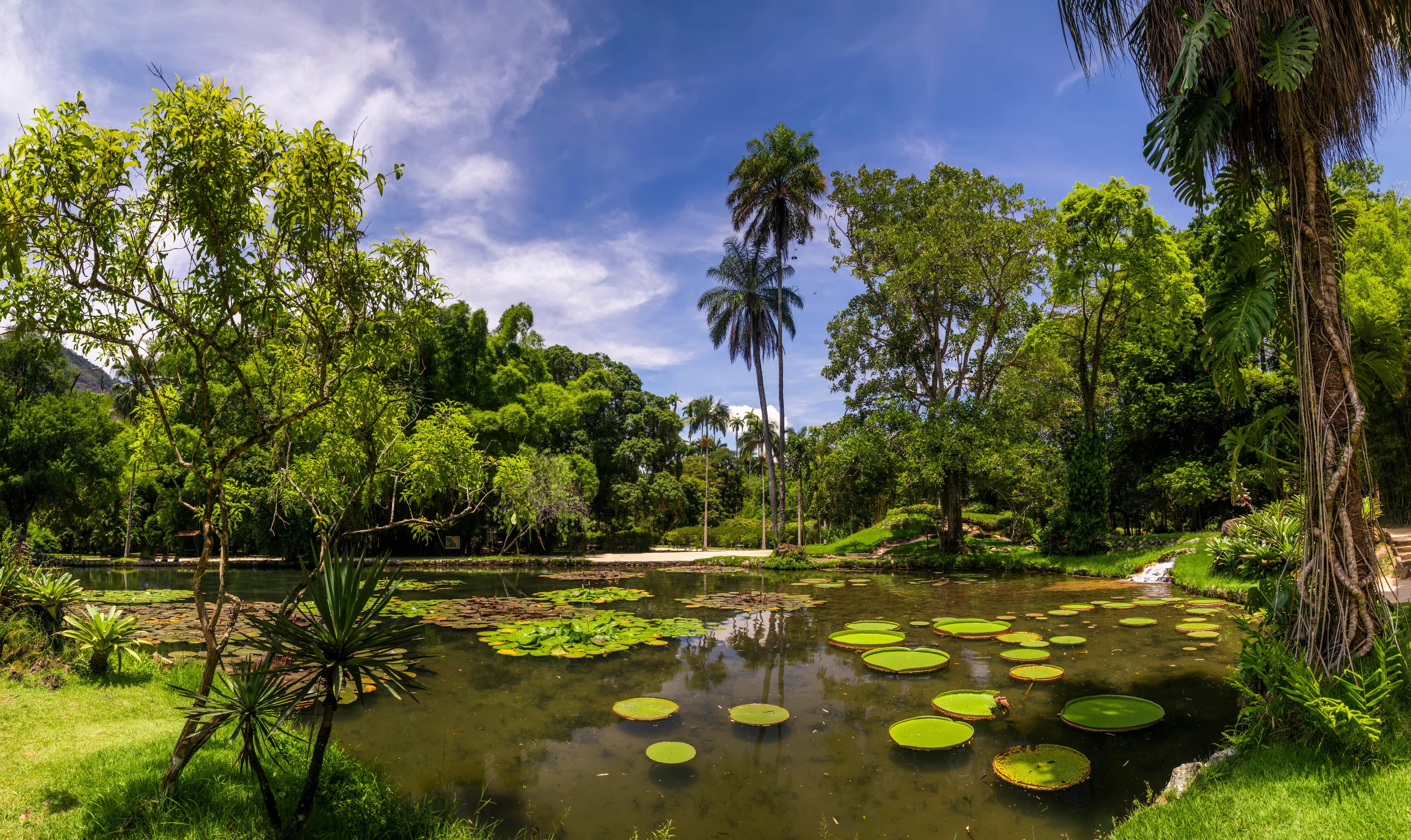 Jardín Botánico de Río de Janeiro, Brasil.