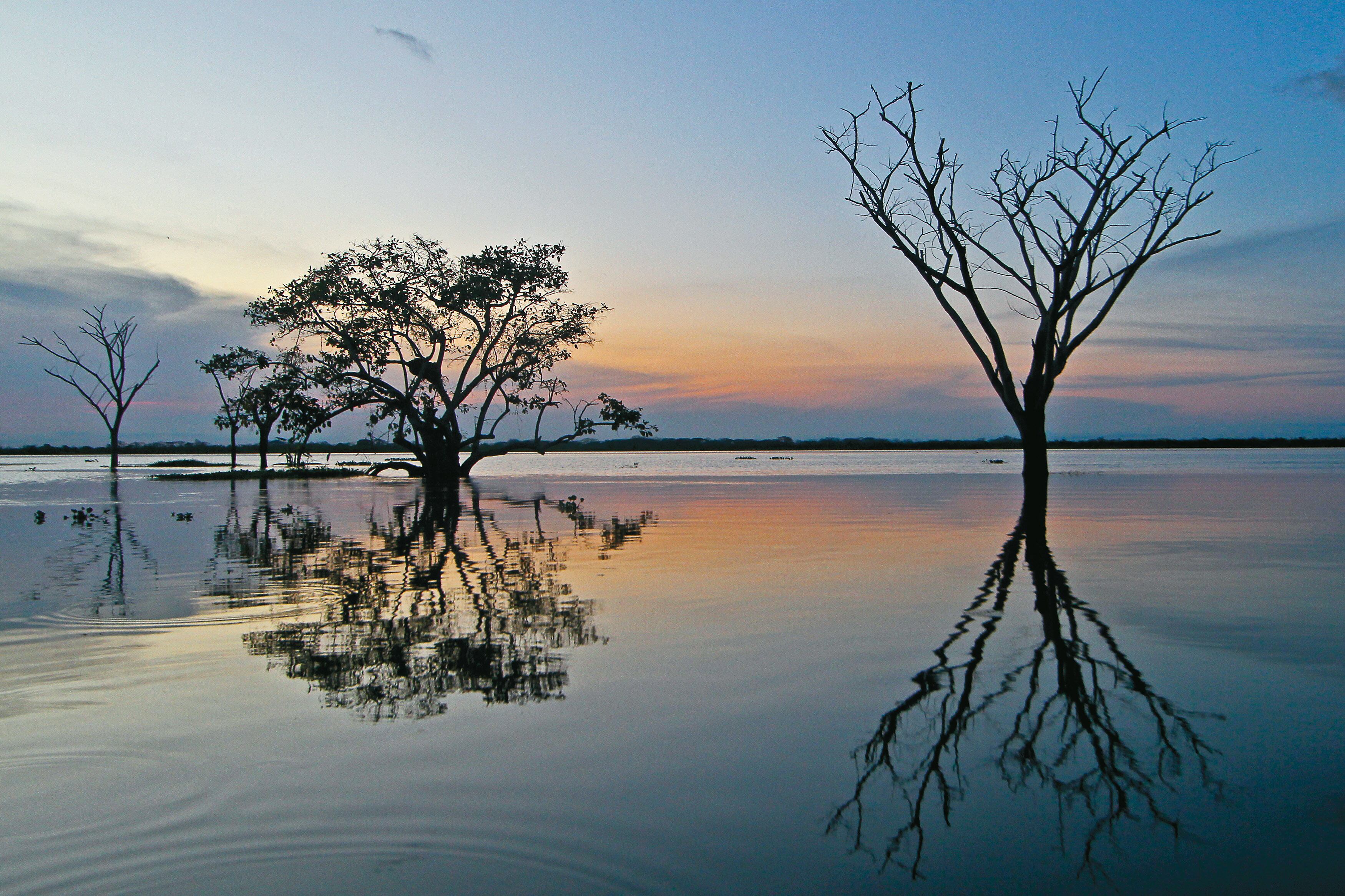 El río San Jorge recorre 386 kilómetros en los que ejerce influencia en una superficie de 95.500 kilómetros cuadrados. Foto: Joaquín Sarmiento.