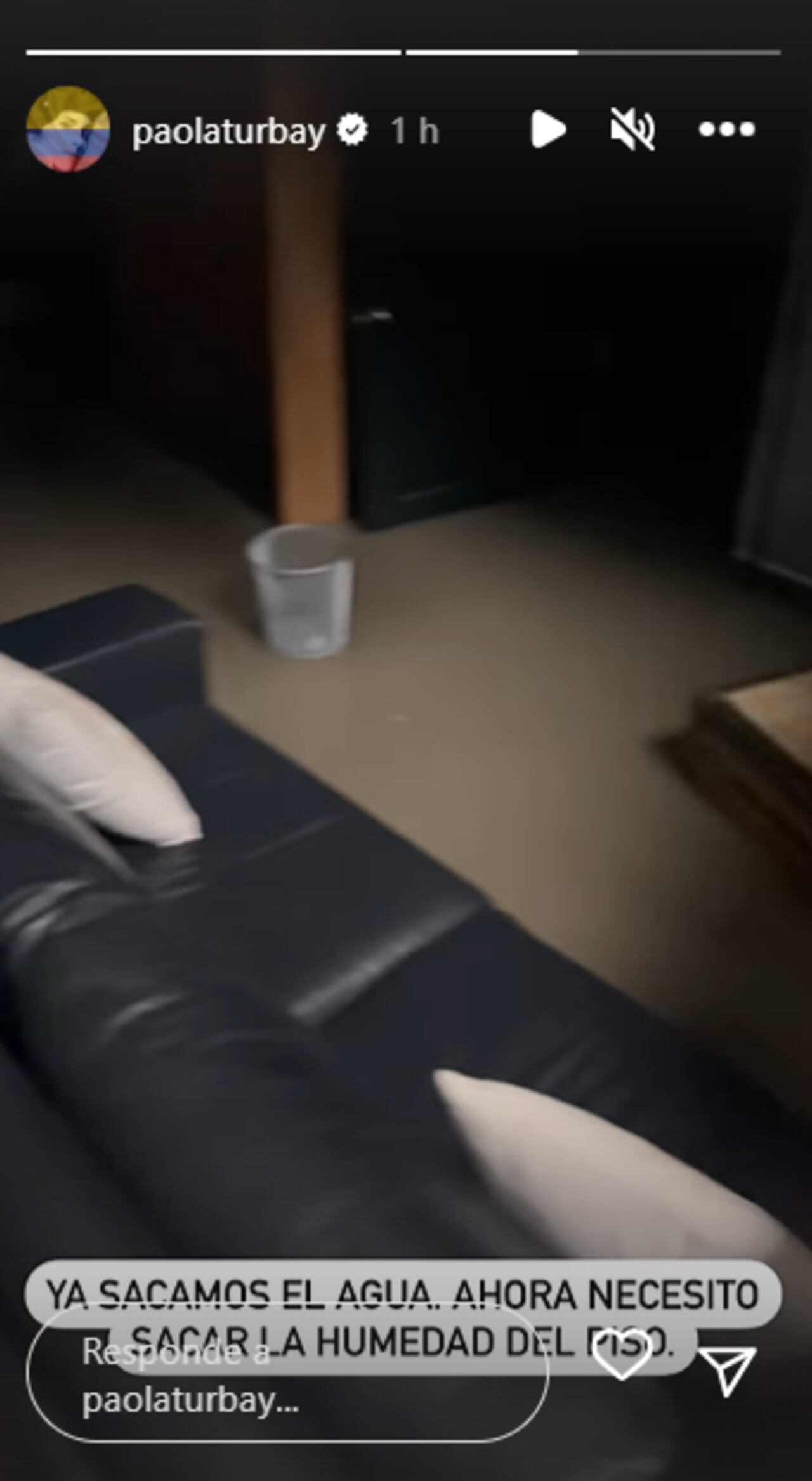 Foto: Instagram @paolaturbay.