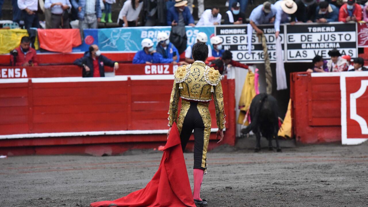 'Despistado', toro de Las Ventas del Espíritu Santo, regresa vivo a los corrales ante la mirada de Emilio de Justo, el torero que lo inultó. Manizales, 6 de enero de 2022.