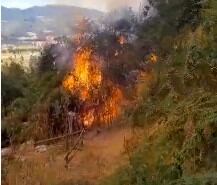 Ganaderos, afectados por el Fenómeno de El Niño