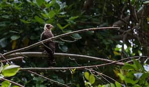 Diferentes instituciones dedicadas al Medio Ambiente y su conservación hicieron parte de la jornada.