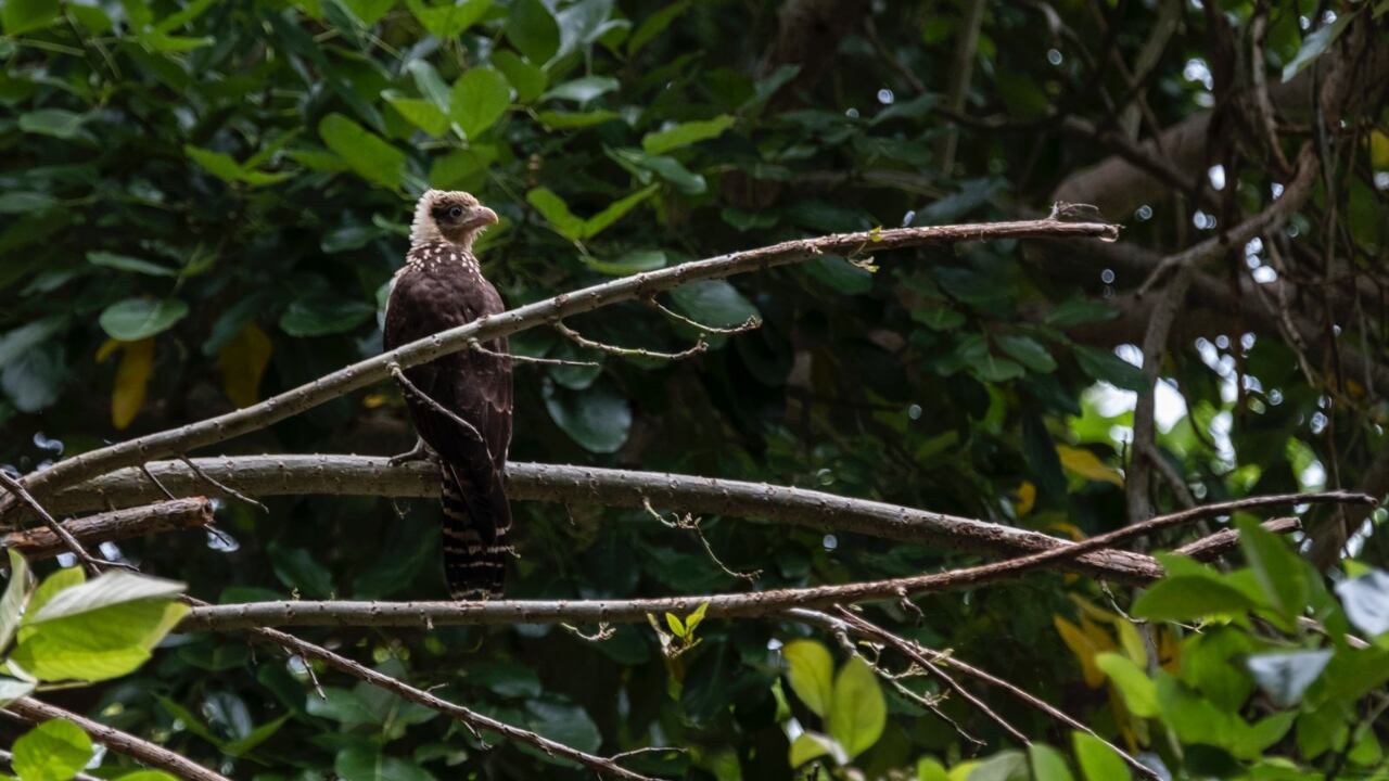 Foto: Cortesía Ministerio de Ambiente