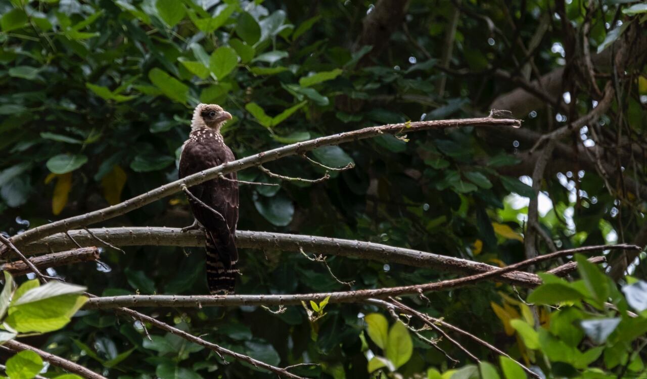 Foto: Cortesía Ministerio de Ambiente