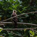 Diferentes instituciones dedicadas al Medio Ambiente y su conservación hicieron parte de la jornada.