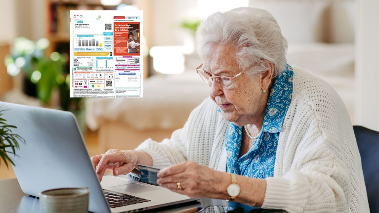 Pago de la factura de la luz virtual